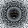 Download track 24. Goldberg Variations, BWV 988 (Arr. P. Navarro-Alonso) - Variatio 23. A 2 Clav.