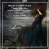 Download track 6. Concerto In A Minor For Viola Da Gamba: II. Adagio