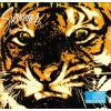 Download track Eye Of The Tiger