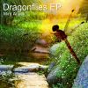 Download track Dragonflies