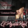 Download track Corrido De Mario Higuera