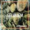 Download track Selvagem