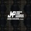 Download track Birds Are Coming - Animals Communicate Remix