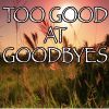Download track Too Good At Goodbyes - Tribute To Sam Smith (Instrumental Version)