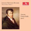 Download track Piano Sonata No. 6 In D Major, Op. 106 (Johann Nepomuk Hummel): III. Larghetto A Capriccio
