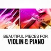 Download track Violin Sonata No. 26 In B-Flat Major, K. 378: II. Andantino Sostenuto E Cantabile