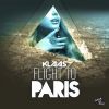 Download track Flight To Paris (Rene Rodrigezz Remix)