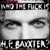 Download track Who The Fuck Is H. P. Baxxter?