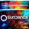 Download track Voices Of Another Dimension (David Surok Remix)