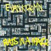 Download track Rats In A Maze