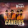 Download track Catarino Y Los Rurales (Banda)