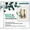 Download track Concerto For 2 Violins In D Minor, BWV 1043 (Arr. For Mandolin Orchestra) I. Vivace