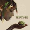 Download track Ekoplex - Journey Of The Turtle