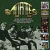 Download track The Turtles! Golden Hits Radio Spot (Remastered)