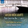 Download track Flute Concerto No. 1 In E Major, Op. 49 - II. Largo (Cadenza By Patrick Gallois)