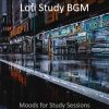 Download track Music For Study Sessions