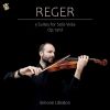 Download track 02 - 3 Suites For Solo Viola, Op. 131d - No. 1 In G Minor - II. Vivace