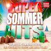 Download track Mein Sommer