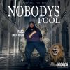 Download track Nobodys Fool