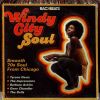 Download track Windy City Theme (Vocal)