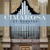 Download track 08. Organ Sonata In A Major - Allegro, C19, F19