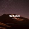 Download track Curlews