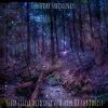Download track Queen Of The Forest