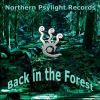 Download track Northern Psylight