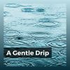 Download track Neptune Raining Diamonds