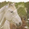 Download track White Horse (Radio Edit)