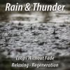 Download track Heavy Summer Rain With Birds And Thunder For Sleeping And Relaxing