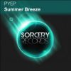 Download track Summer Breeze (Original Mix)