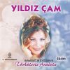 Download track Sen Gelmez Oldun