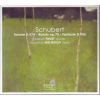 Download track 07. Schubert Sonate En La Majeur Op. Posth. 162 D. 574 - III. Andantino