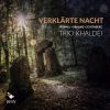 Download track Verklärte Nacht, Op. 4 II. Breiter