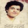 Download track El Zine El Chayeb