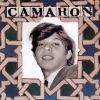 Download track Amante De Abril Y Mayo (Bulerías)