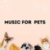Download track Soft Music For Your Pets