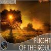 Download track The Fear That These Fleeting Thoughts Are All That Remain Is What Keeps Me Up At Night (Original Mix)