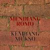 Download track Patine Mendiang Romo