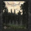 Download track The Golden Mists Of Dawn