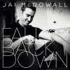 Download track Fall Back Down (Radio Edit)