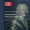 Download track Telemann Fantasia For Viola Da Gamba In E Minor, TWV 4028 I. Largo