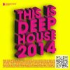 Download track This Is Deep House 2014 (Continious DJ Mix)