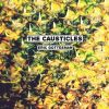Download track The Causticles Ain't Nuthin Ta Fuck Wit