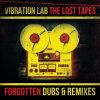 Download track Statistic [Vibration Lab Remix] (Vibration Lab Remix)