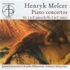 Download track Concerto For Piano & Orchestra, No 1 In E Minor- 3. Vivo Ma Non Troppo E Poi...