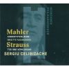 Download track 3. Mahler: Kindertotenlieder - 3. Wenn Dein Mütterlein