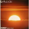 Download track Sunset (Bird Of Prey)
