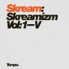 Download track 2 - D (Skreamizm Vol. 4)